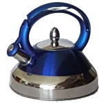 Stainless Steel Kettle Blue