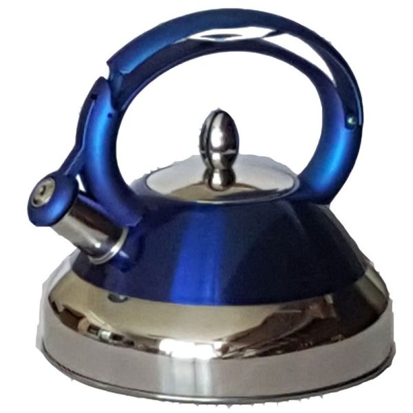 Stainless Steel Kettle Blue