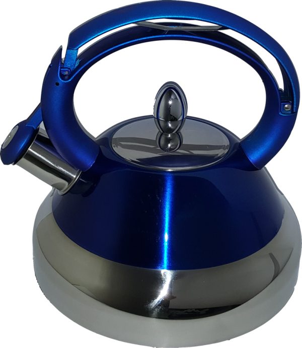 Stainless Steel Kettle Blue - Image 2